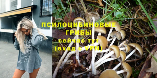 прущие крисы Гусиноозёрск